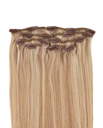 Clip On Extensions Mix  10 22